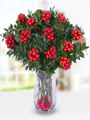  Malatya Çiçek Gönder - Yılbaşı Şans Çiçeği Kokinalar Yılbaşı Şans Çiçeği Kokinalar