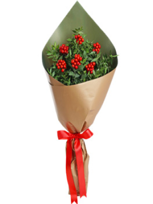 Malatya Çiçekçi - Kokinalı Yılbaşı Buketi Kokinalı Yılbaşı Buketi